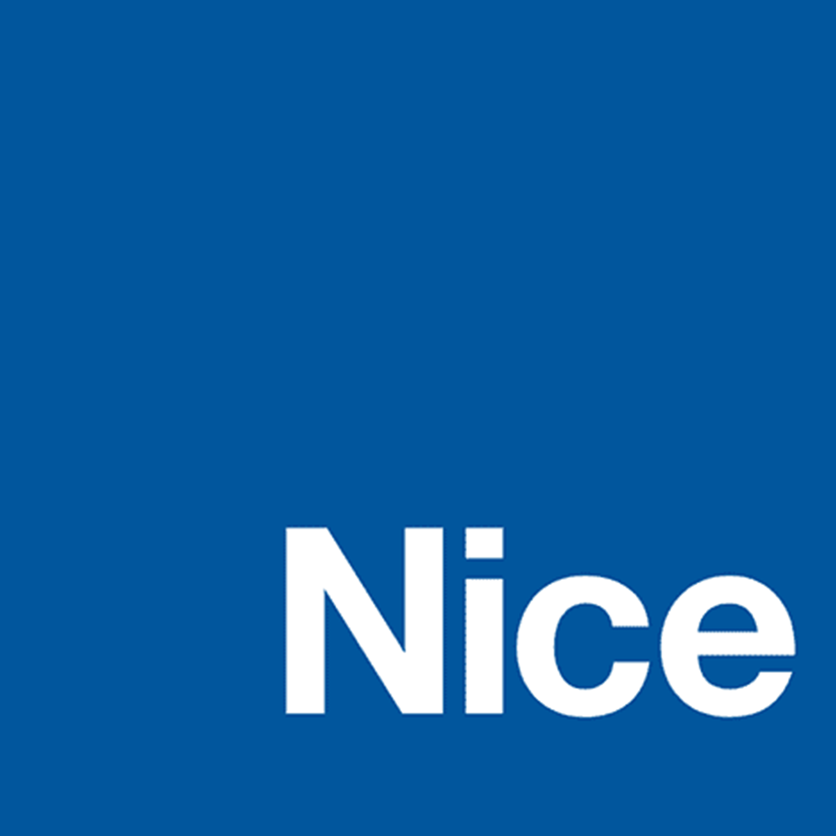 Nice Logo