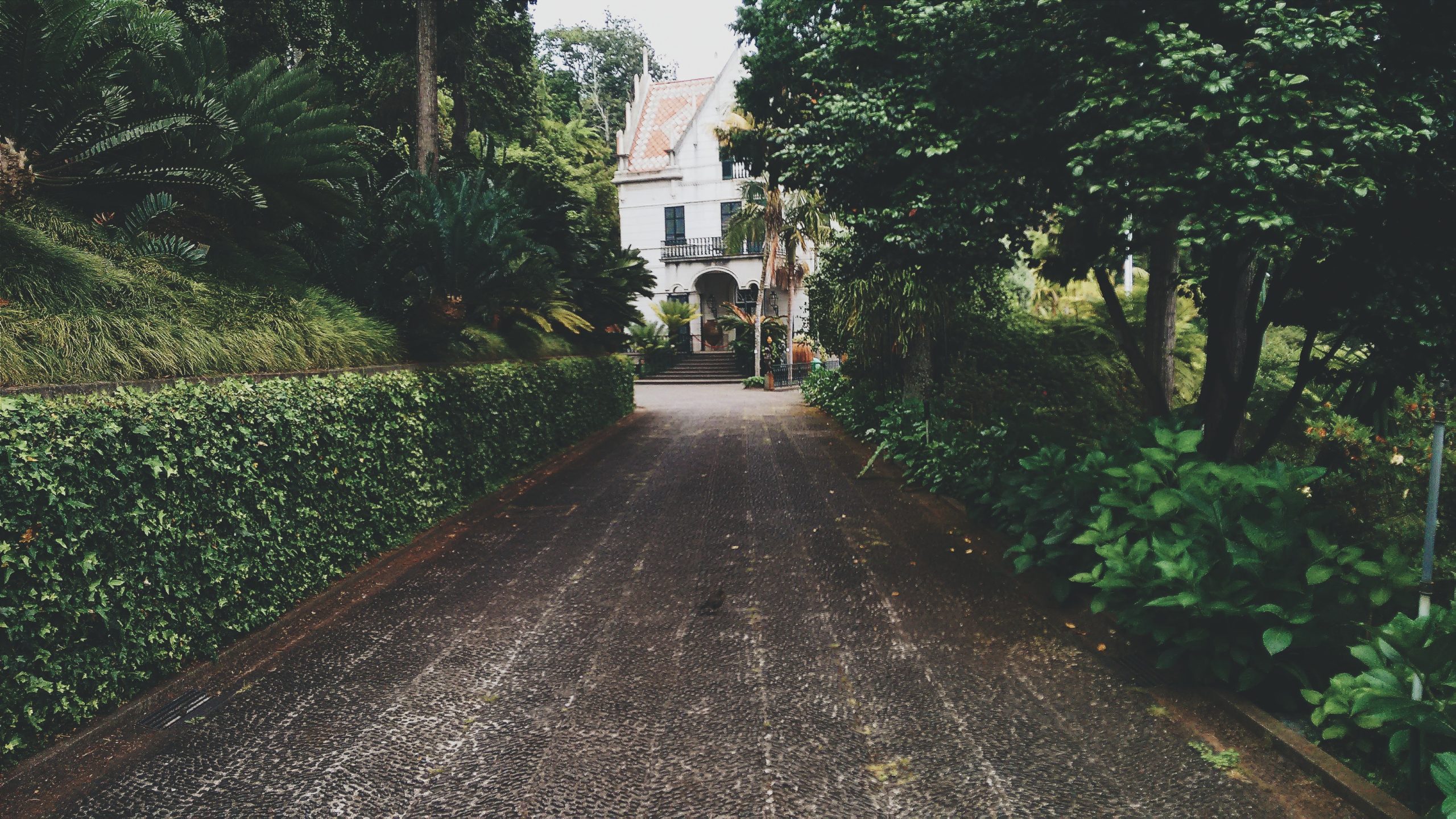 How to spruce up your driveway